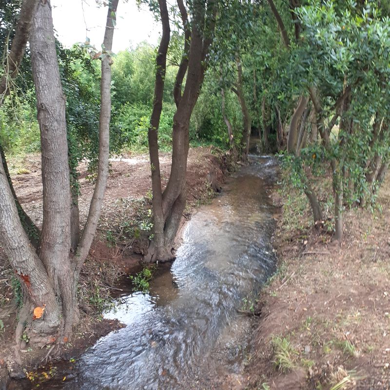 Albergue Pedro Solís en Avilés